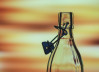 Perfektní skleněné lahve na alkohol: Průvodce skleněnými lahvemi