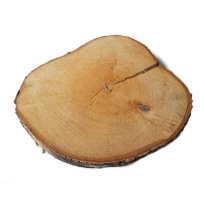 Dřevěný plát bříza neobroušený 25-28cm 2,5cm s prasklinou