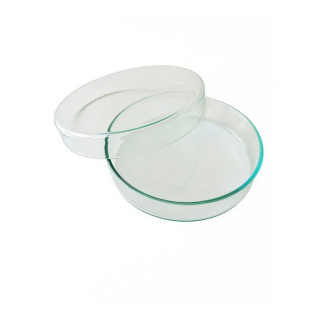 Petriho miska sklenená 70 x 15 mm – laboratórna sklenená doštička na kultivácie