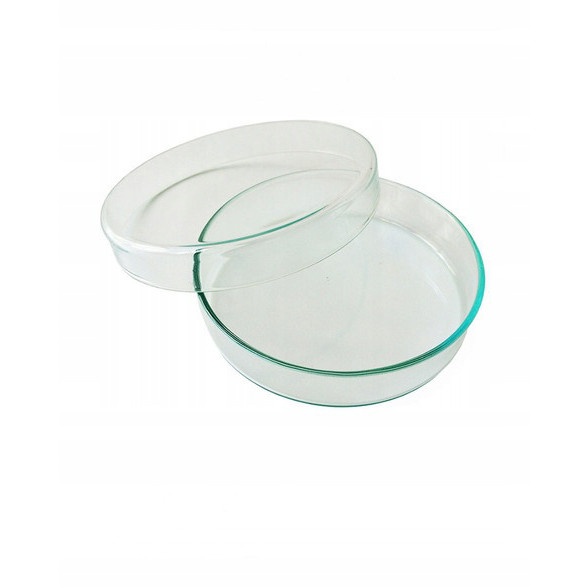 boîte de Pétri en verre 50x12mm megamix.sk